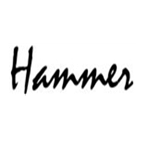 HAMMER-1